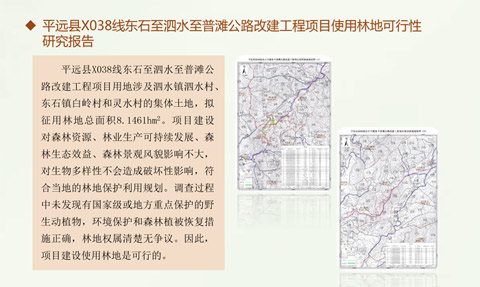 平远县x038东石至泗水至普滩公路改建工程项目使用林地可行性研究报告