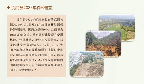 龙门县2022年森林督查