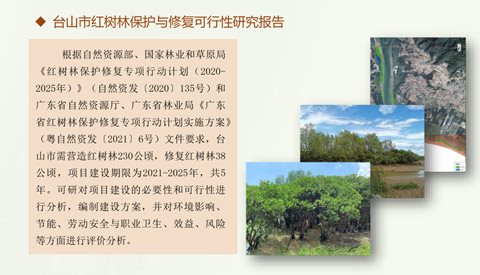 台山市红树林保护与修复可行性研究报告
