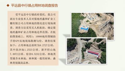 平远县中行镇占用林地调查报告